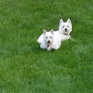 Meet your Posher, Jeff